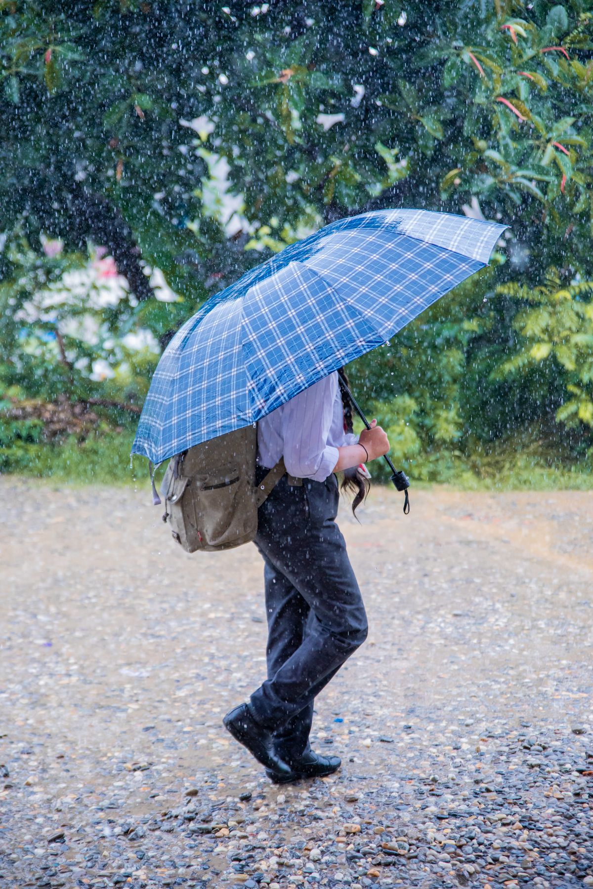 Pessoa andando na chuva protegida por um guarda-chuva